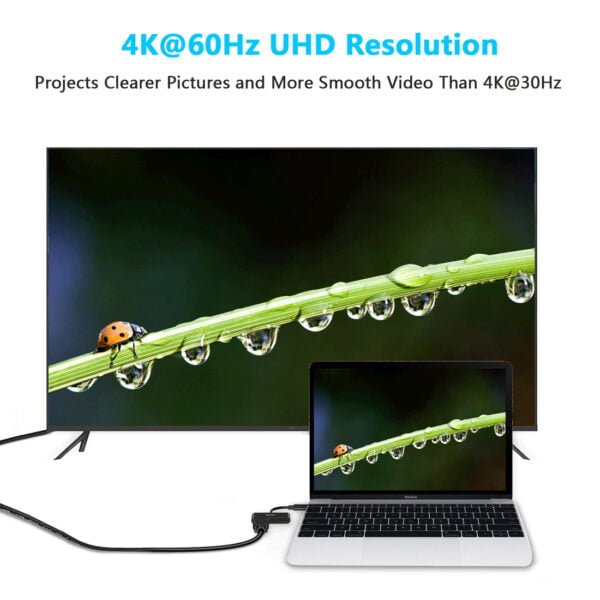 China manufacturer USB C to HDMI Adapter(4K@60hz), USB Type-C HDMI Female Adapter with 60W PD Charging Port - Image 6